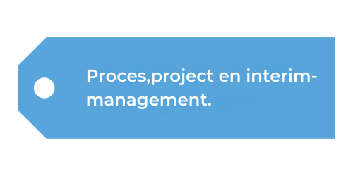 Proces, project en interim management label